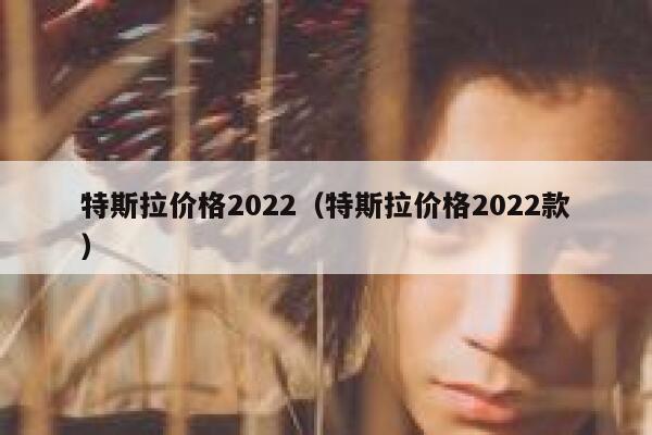 特斯拉价格2022（特斯拉价格2022款） 第1张