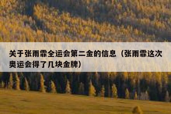 关于张雨霏全运会第二金的信息（张雨霏这次奥运会得了几块金牌） 第1张