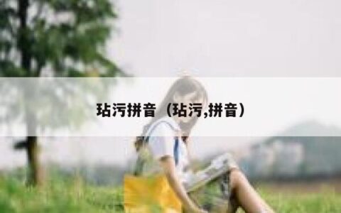 玷污拼音（玷污,拼音）