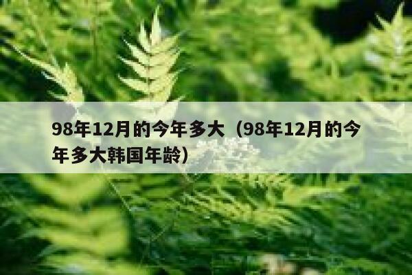 98年12月的今年多大（98年12月的今年多大韩国年龄） 第1张