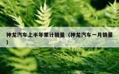 神龙汽车上半年累计销量（神龙汽车一月销量）