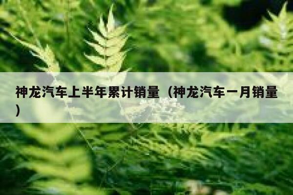 神龙汽车上半年累计销量（神龙汽车一月销量） 第1张