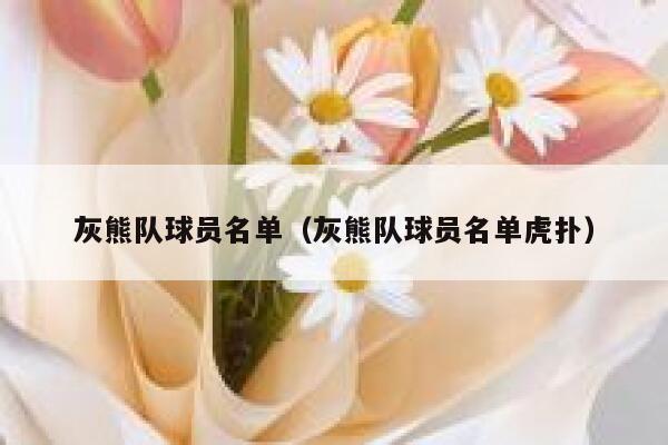 灰熊队球员名单（灰熊队球员名单虎扑） 第1张