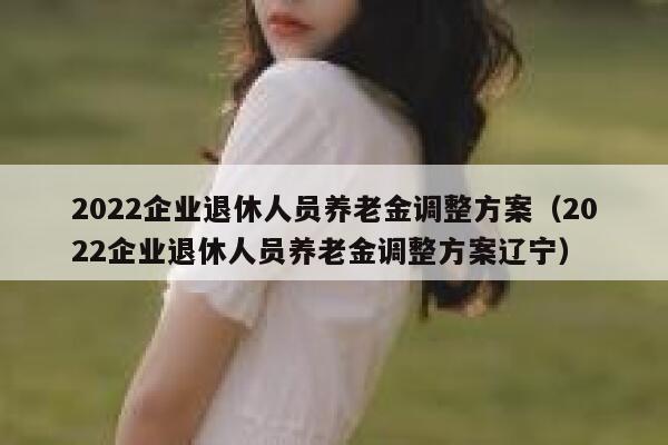 2022企业退休人员养老金调整方案（2022企业退休人员养老金调整方案辽宁） 第1张