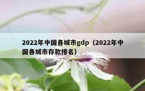 2022年中国各城市gdp（2022年中国各城市存款排名）