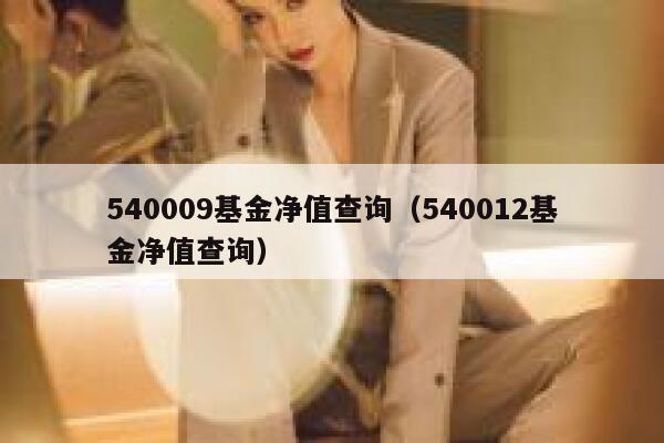 540009基金净值查询（540012基金净值查询） 第1张