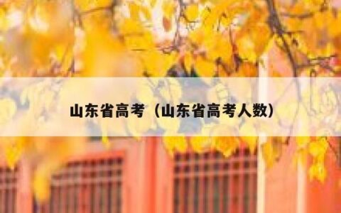 山东省高考（山东省高考人数）