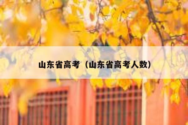 山东省高考（山东省高考人数） 第1张