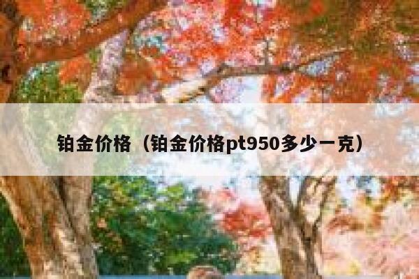 铂金价格（铂金价格pt950多少一克） 第1张