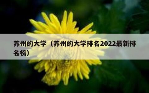 苏州的大学（苏州的大学排名2022最新排名榜）