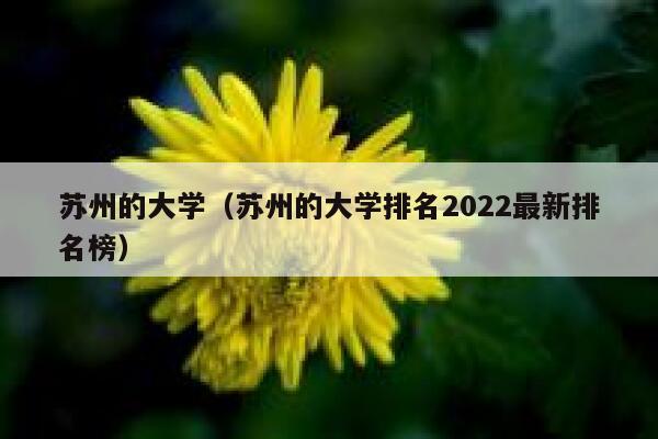 苏州的大学（苏州的大学排名2022最新排名榜） 第1张