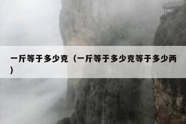 一斤等于多少克（一斤等于多少克等于多少两） 第1张