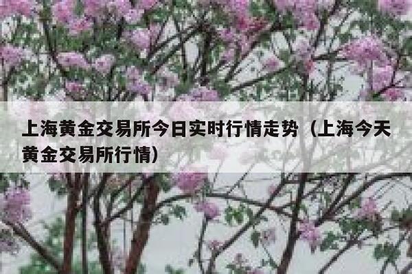 上海黄金交易所今日实时行情走势（上海今天黄金交易所行情） 第1张