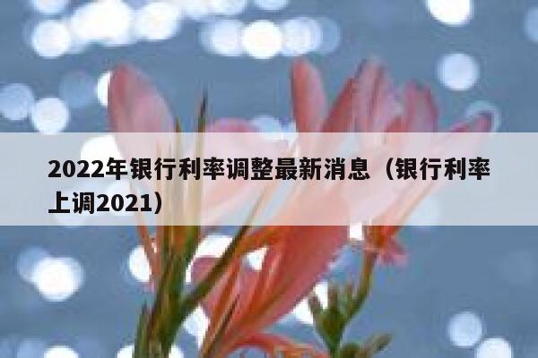 2022年银行利率调整最新消息（银行利率上调2021） 第1张