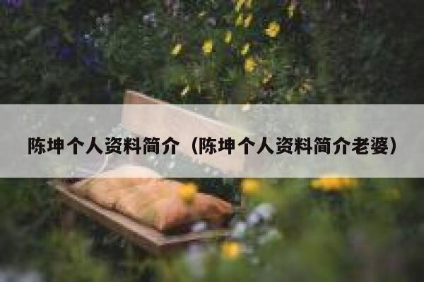 陈坤个人资料简介（陈坤个人资料简介老婆） 第1张