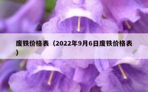 废铁价格表（2022年9月6日废铁价格表）