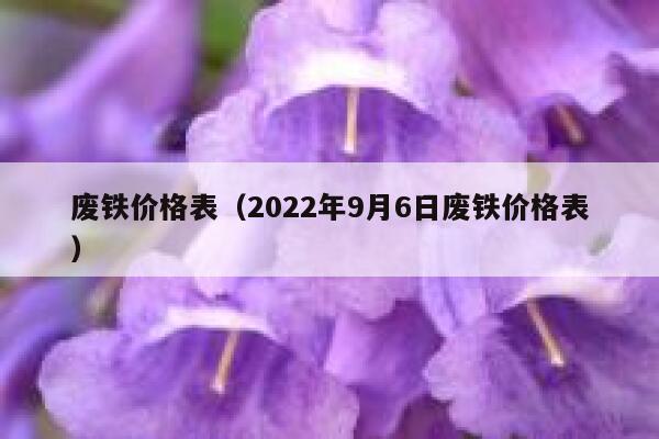 废铁价格表（2022年9月6日废铁价格表） 第1张