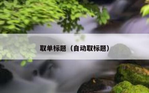 取单标题（自动取标题）