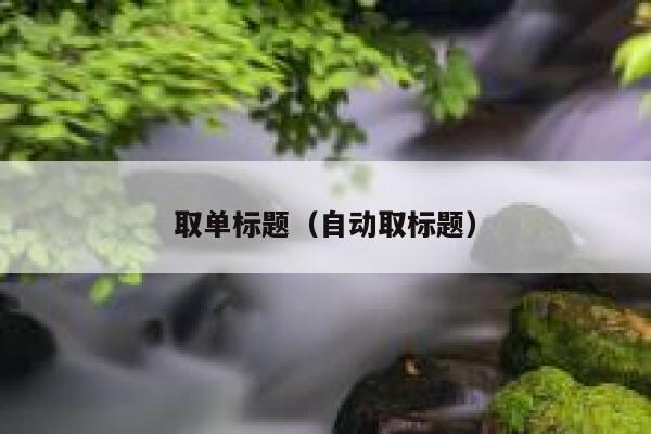 取单标题（自动取标题） 第1张