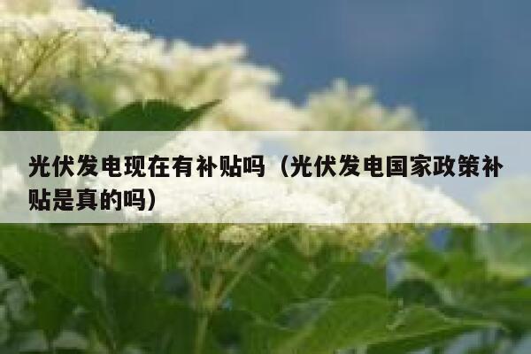 光伏发电现在有补贴吗（光伏发电国家政策补贴是真的吗） 第1张