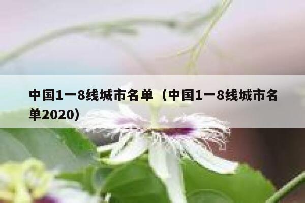 中国1一8线城市名单（中国1一8线城市名单2020） 第1张