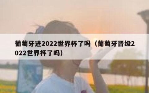 葡萄牙进2022世界杯了吗（葡萄牙晋级2022世界杯了吗）