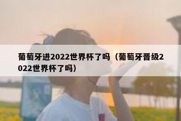 葡萄牙进2022世界杯了吗（葡萄牙晋级2022世界杯了吗） 第1张