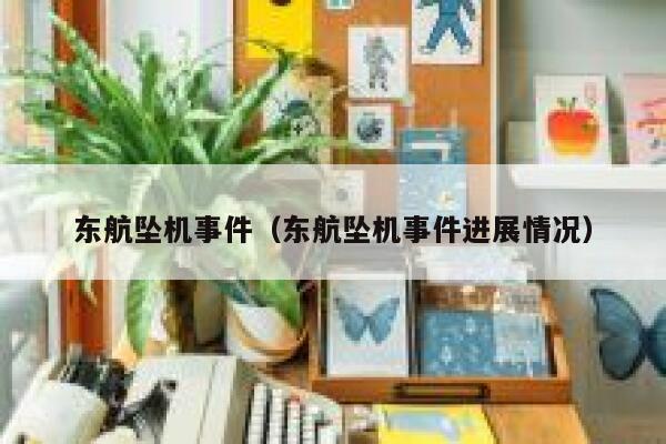 东航坠机事件（东航坠机事件进展情况） 第1张