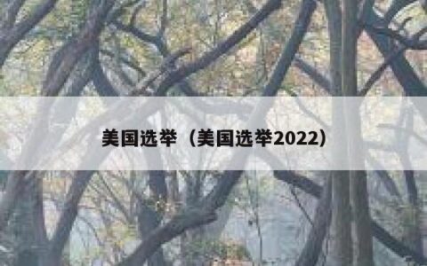 美国选举（美国选举2022）