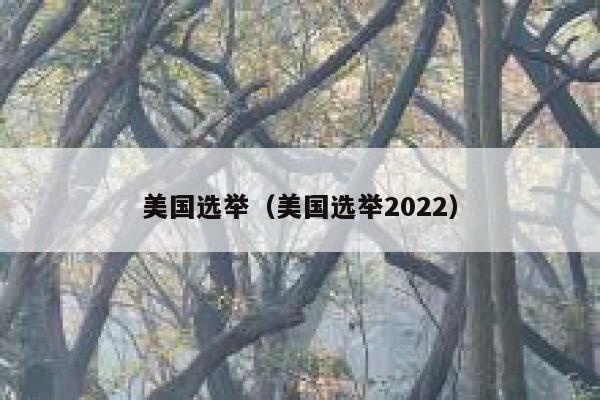 美国选举（美国选举2022） 第1张