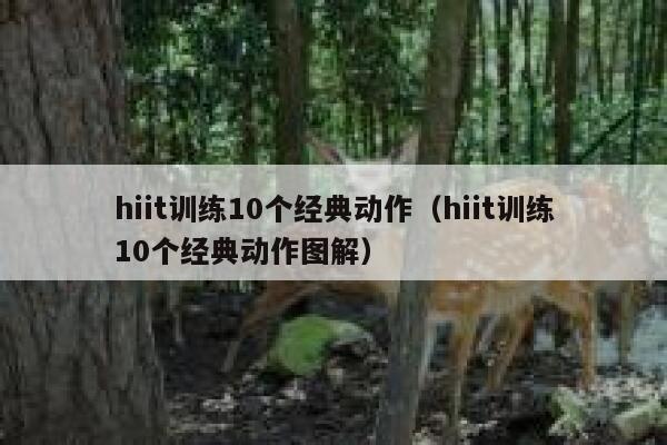 hiit训练10个经典动作（hiit训练10个经典动作图解） 第1张