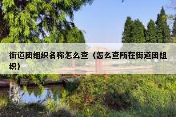 街道团组织名称怎么查（怎么查所在街道团组织） 第1张