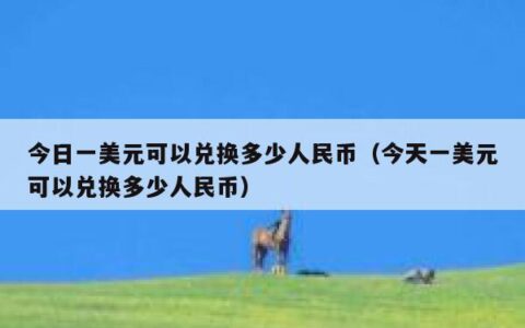 今日一美元可以兑换多少人民币（今天一美元可以兑换多少人民币）