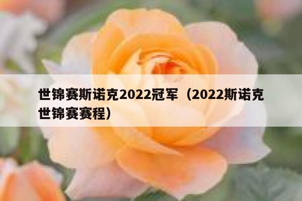 世锦赛斯诺克2022冠军（2022斯诺克世锦赛赛程） 第1张