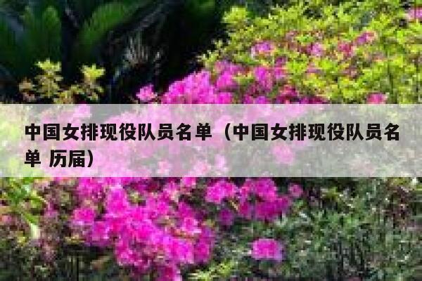 中国女排现役队员名单（中国女排现役队员名单 历届） 第1张