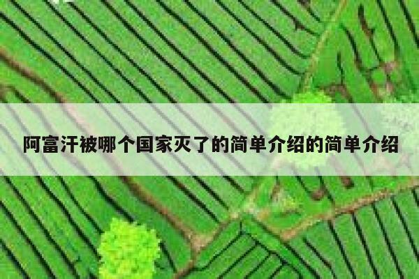 阿富汗被哪个国家灭了的简单介绍的简单介绍 第1张