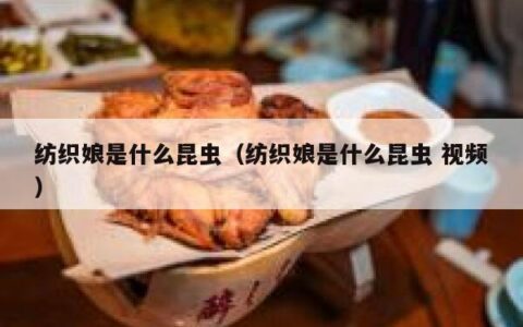 纺织娘是什么昆虫（纺织娘是什么昆虫 视频）