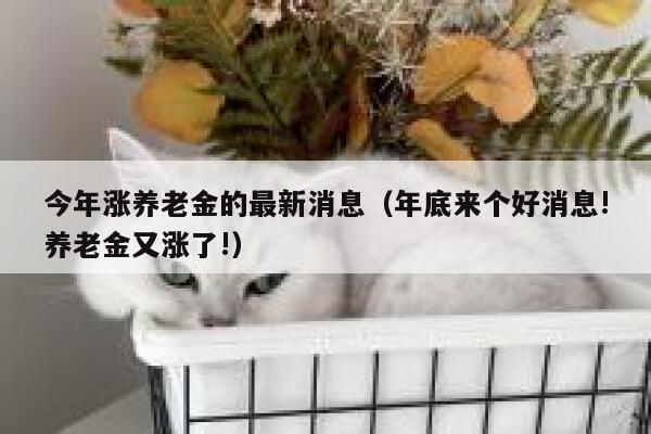 今年涨养老金的最新消息（年底来个好消息!养老金又涨了!） 第1张