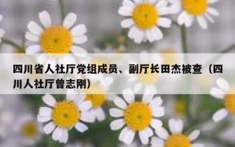 四川省人社厅党组成员、副厅长田杰被查（四川人社厅曾志刚）