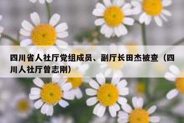 四川省人社厅党组成员、副厅长田杰被查（四川人社厅曾志刚） 第1张