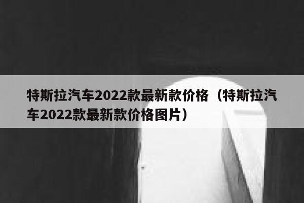 特斯拉汽车2022款最新款价格（特斯拉汽车2022款最新款价格图片） 第1张