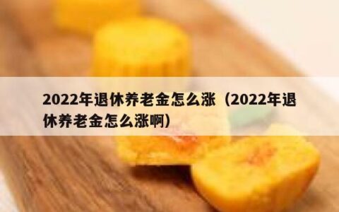 2022年退休养老金怎么涨（2022年退休养老金怎么涨啊）