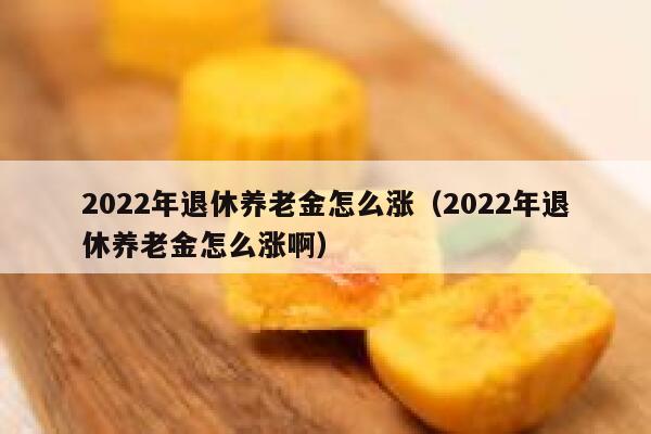 2022年退休养老金怎么涨（2022年退休养老金怎么涨啊） 第1张