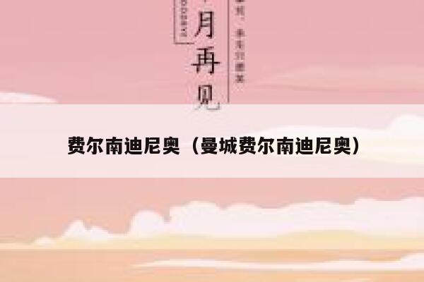 费尔南迪尼奥（曼城费尔南迪尼奥） 第1张