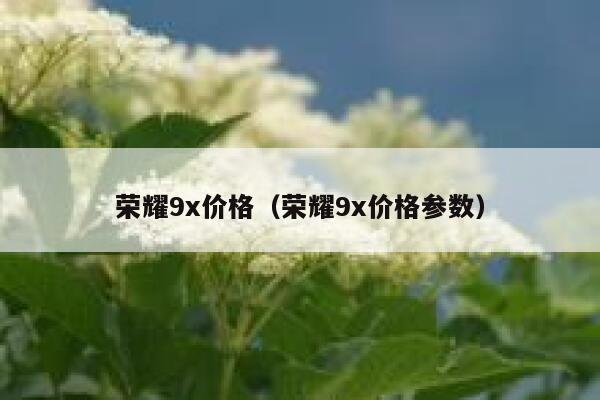 荣耀9x价格（荣耀9x价格参数） 第1张