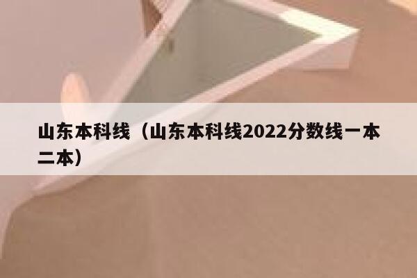 山东本科线（山东本科线2022分数线一本二本） 第1张