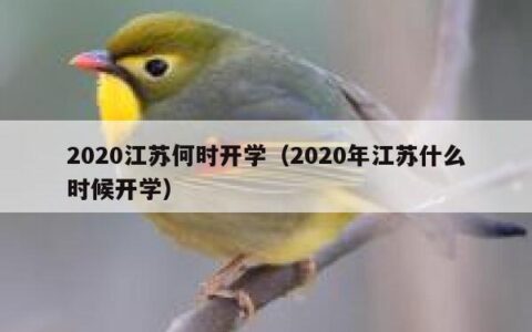 2020江苏何时开学（2020年江苏什么时候开学）