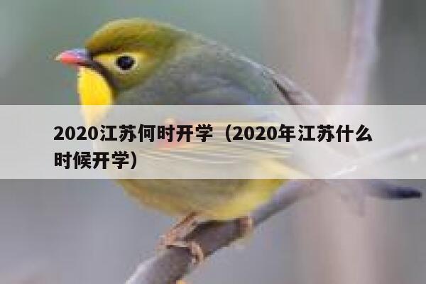 2020江苏何时开学（2020年江苏什么时候开学） 第1张