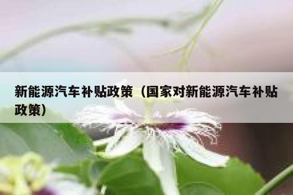 新能源汽车补贴政策（国家对新能源汽车补贴政策） 第1张