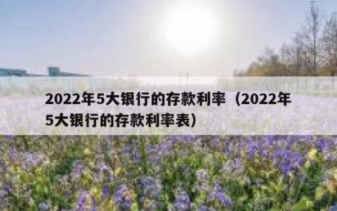 2022年5大银行的存款利率（2022年5大银行的存款利率表）